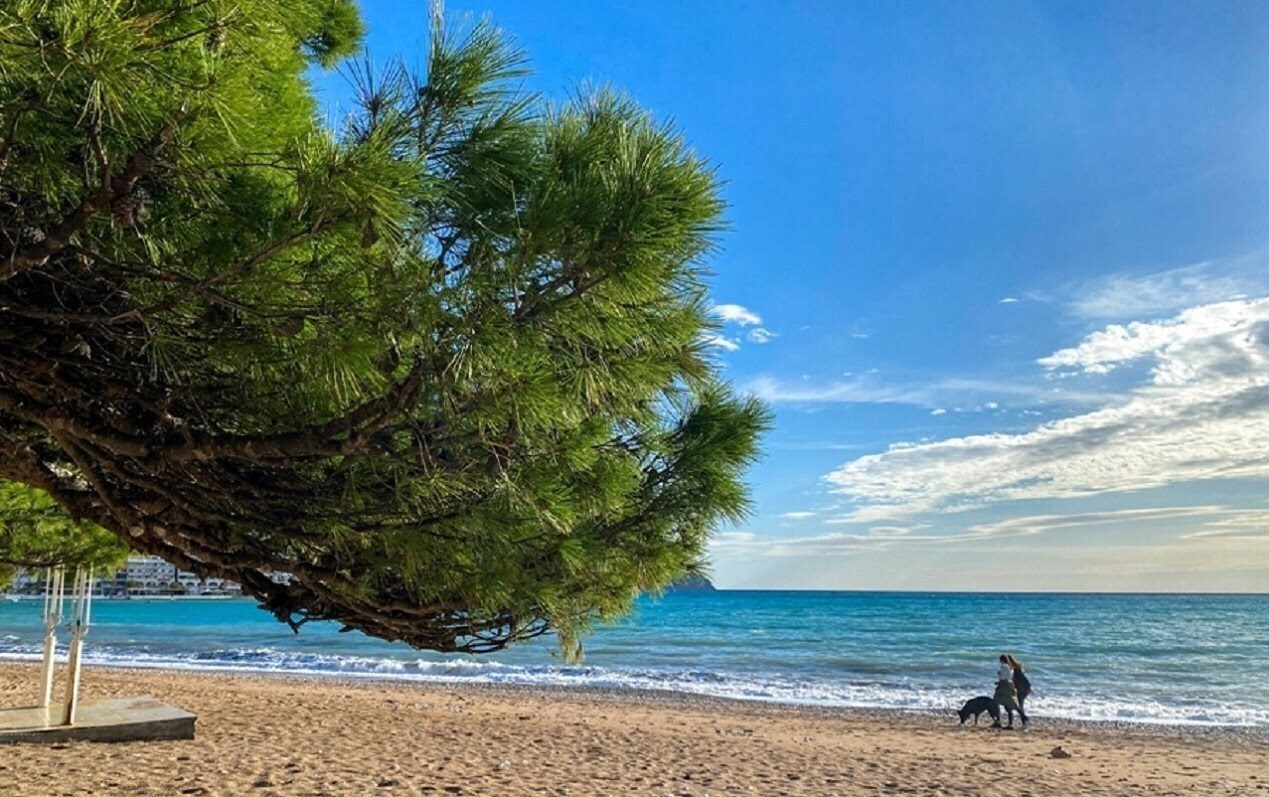 Фотография Lux Tri Ribara 4*